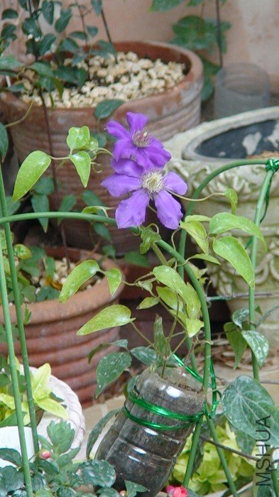 6-8�գ��������䣡����ȫ����