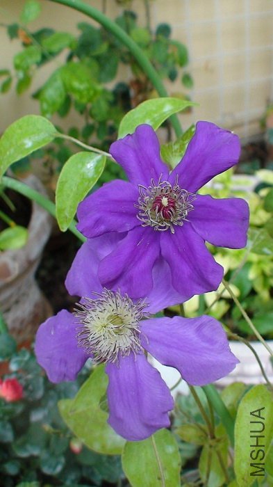 ����дһ�£�