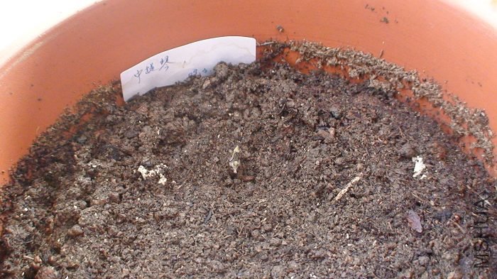 3-18�գ�����������ʱ�����ӡ�ѿͷ��ʵ��¶���ģ���û������