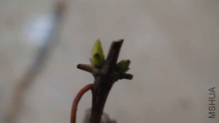 ѿͷ���ǲ����ģ�