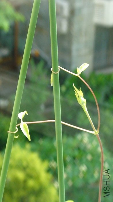 ������д������С������ϸ������������