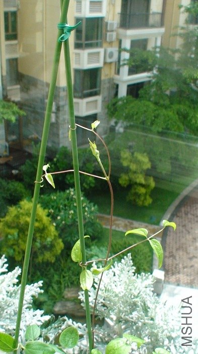 6-4�գ����٣�