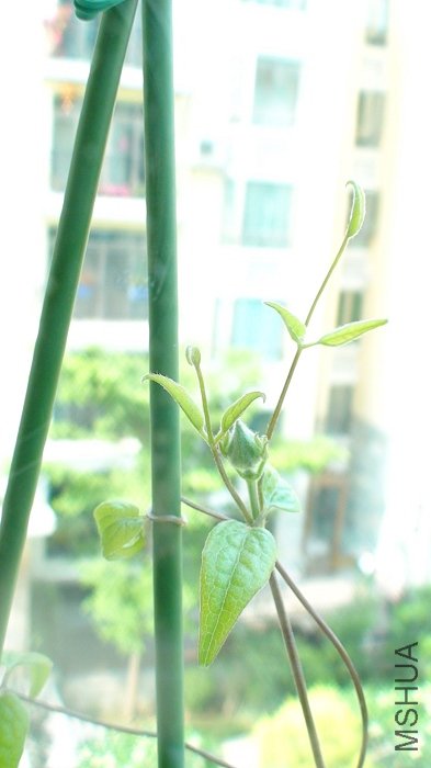 6-5�գ����������˺ܶ࣡