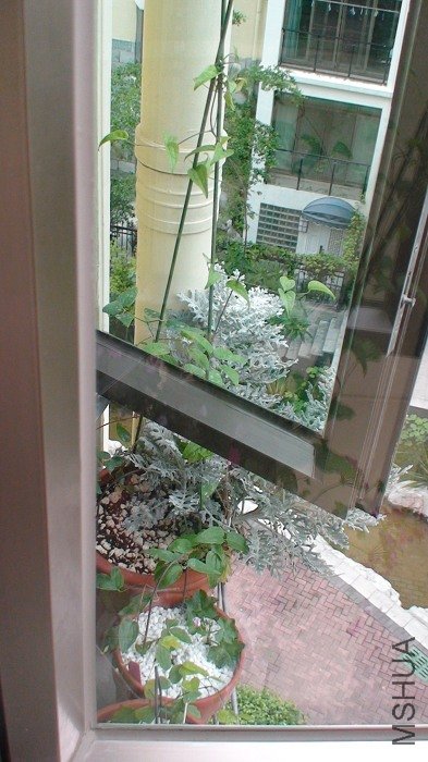 ����6-11�գ�ȫ������ӣ����Ų�����̫�����