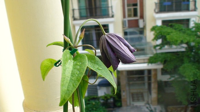 6-14�գ������������ڿ�������