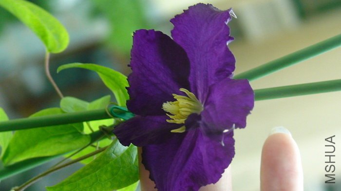 �������ְ���ת������������������