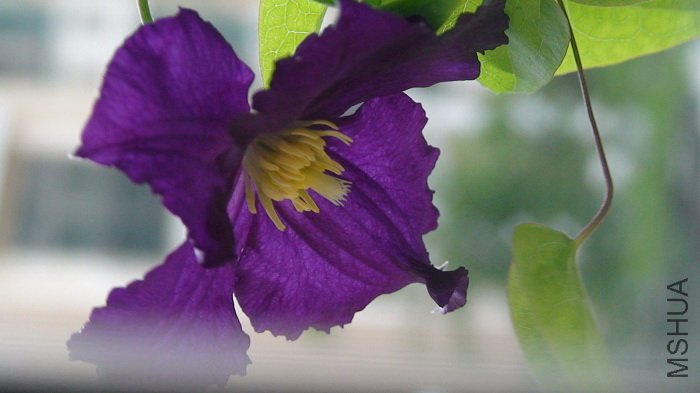 ��һ�࿴����