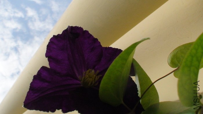 �����Ǵ��ŵģ����Ǵ��������ġ�