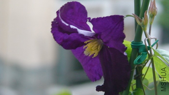 ��һ�࿴����