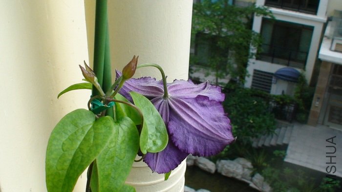 6-15�գ��ſ��˻��꣡�������𣬻������������أ�