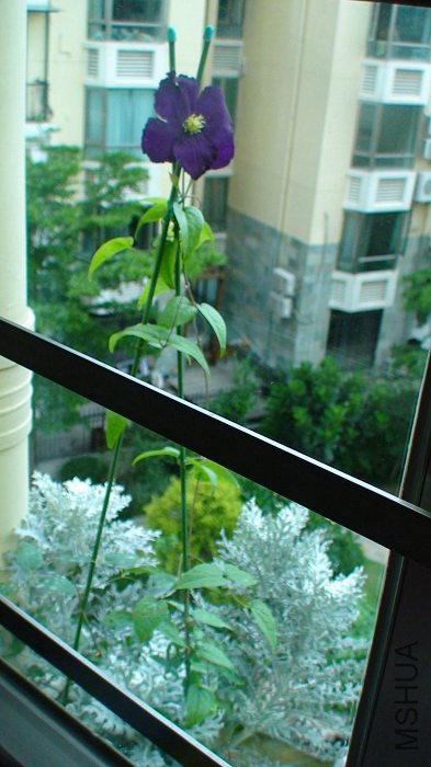 ����ȫ������ӣ���ֻ�ܸ��Ų������ˣ�������С�أ�