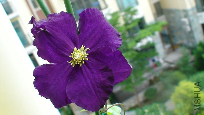 ����д��