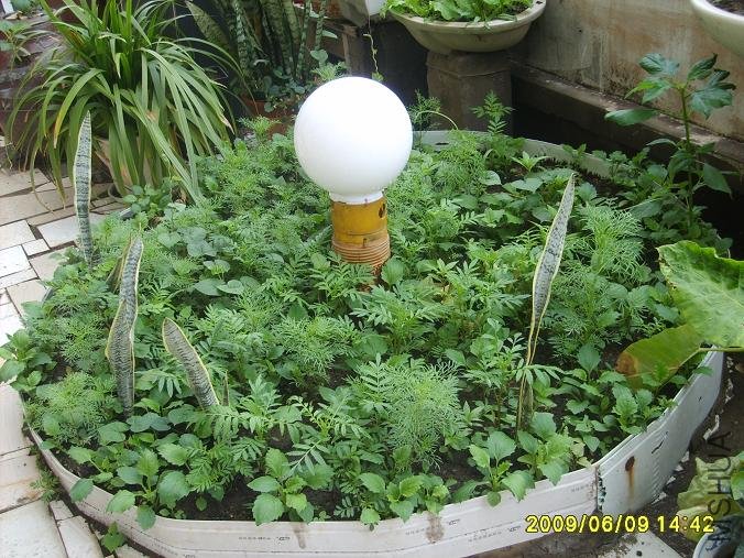 �ƹ����� ����.JPG