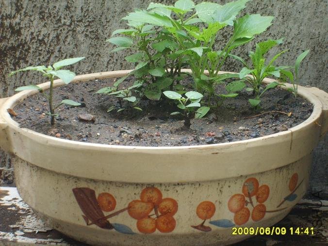 ��� �ͻ�.JPG