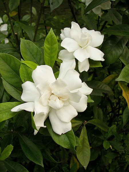 102_6124.jpg