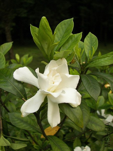 102_6126.jpg