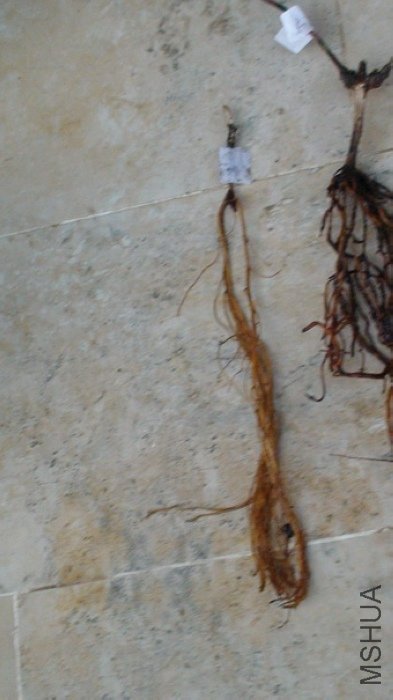 12-25��, ������ʱ�ĸ�ϵ��ֻ����������ʱ������ʧ���أ������뵽�������ܳ�����ô׳���������أ�