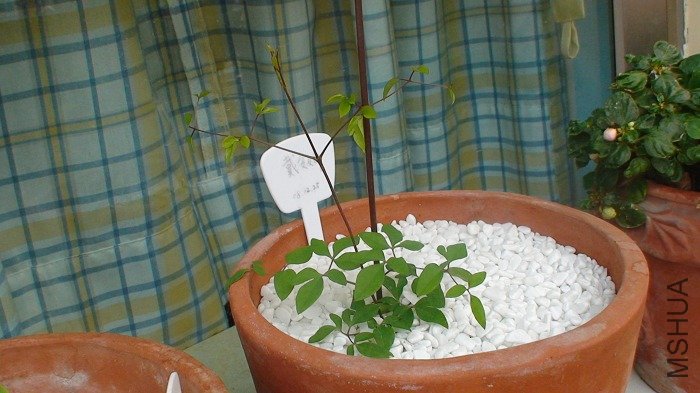 1-22�գ��ٹ���5�죬�ֳ�����һ��ɣ�