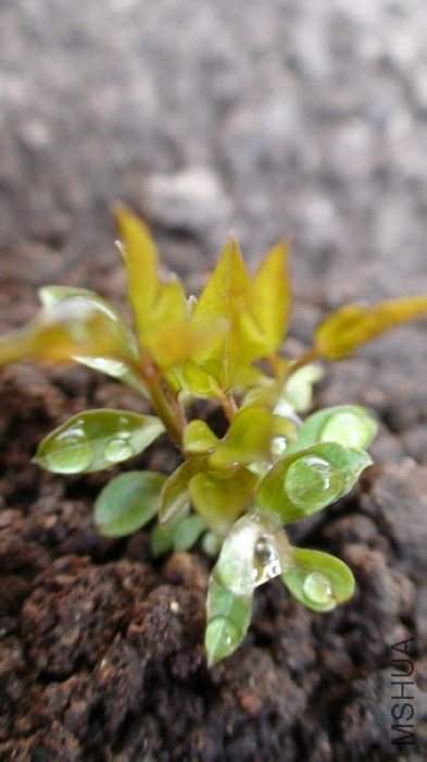 1-5�գ��������ʱ����Ѿ������˺ܶ࣡