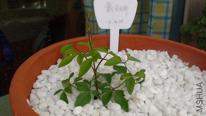 1-18�գ�һ�ܺ��ֳ�����һЩ��