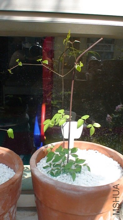 1-30�գ�����һ�ܣ�һ�����ڳ��󰡣��Ѿ���֧��һ����ˣ�