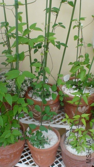 2-19�գ��ֳ����ˡ���ر����һ��ϸ������Ů�����ں�ڣ�������Ӧ�ø�����һ�̵ģ�˭֪�����᳤��ô���