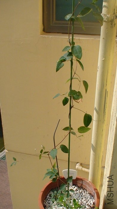 5-5�գ��������˸��ط���������������õĶ��ߴ�̨��˭֪������̫��Ӧ��������������������ӣ�