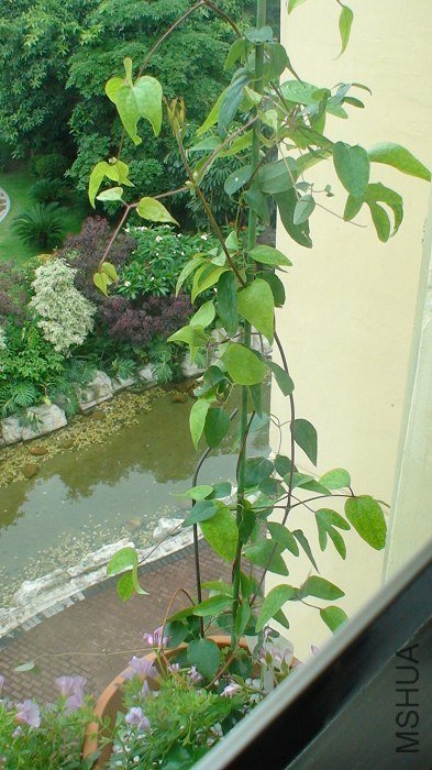 5-29�գ��ֹ���20�죬��Ȼ���٣�û�뵽��������Ҫ��������