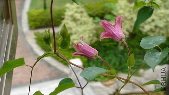 ����Ϳ�����һЩ��