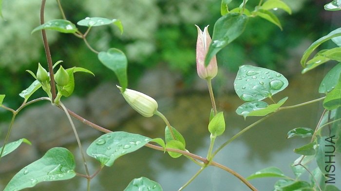 6-14�գ����������ˣ�Ҳ��ɫ����