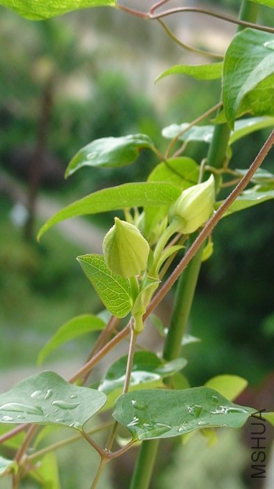 6-14�յ���һ�Ի�����