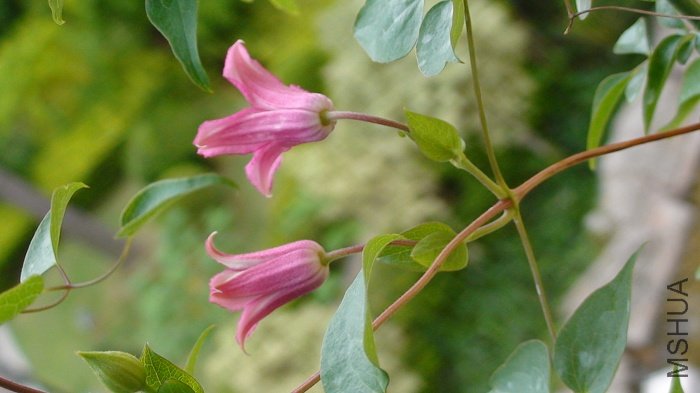 ���ֻ������ĸ��Ƕȶ�������