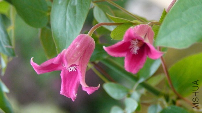 ��ת����һ��㡣