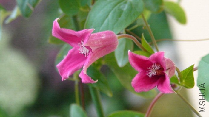 ת����һ�㿴����