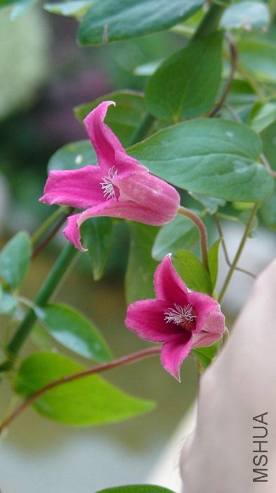 �������һ�ţ�