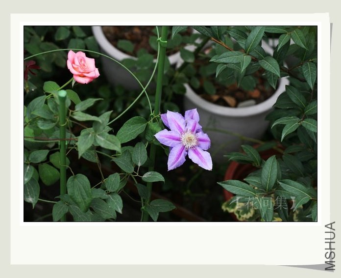 IMG_7352 ����.jpg