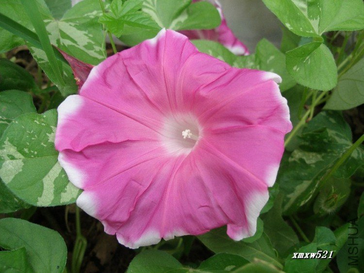 ���ţ��3���˰ɣ�û��ô����