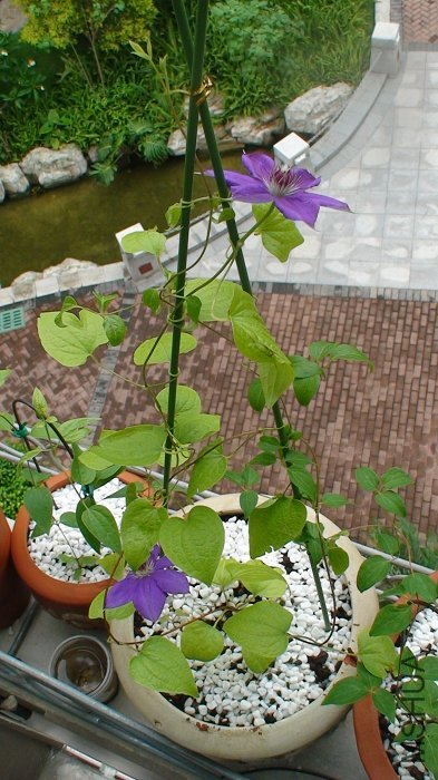 5-26�գ��������䣡���ϸ�ȫ���տ�����