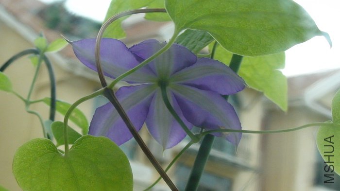 �ӵײ����Ͽ������ı����ƺ��������ˡ�