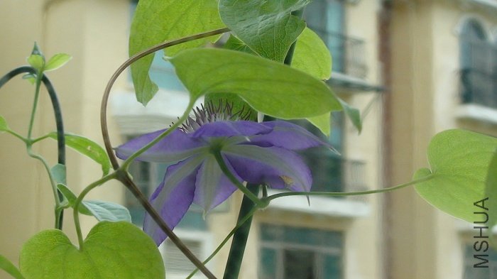 ����������