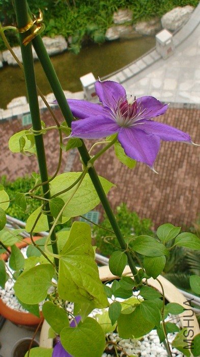 ���Ƕ����¿��Ļ�����д��