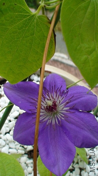 �ײ����Ƕ仨Ҳ���ô�Щ�ˣ��������𣺼�Ƕ��Ѵ򿪣������ѱ��Բ�ߵ�����