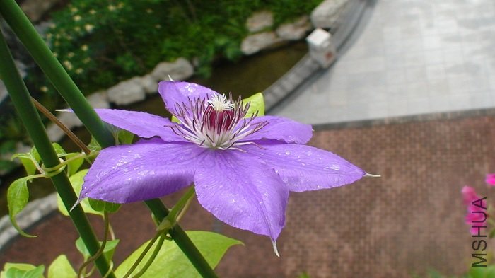 5-27�գ������ĵ������������Ƕ��������ǿ����ĵڶ��죬�����������»���