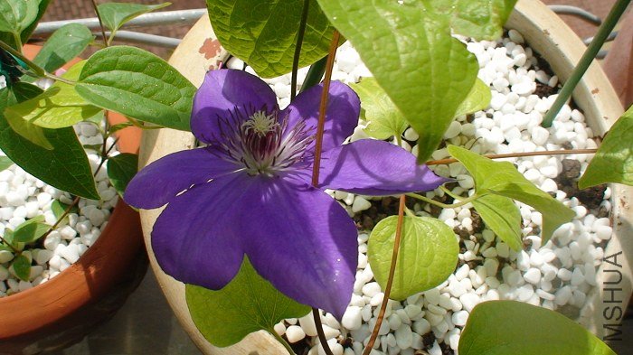 �׻�Ҳ���ø���һЩ��������ǿ����ĵ����졣