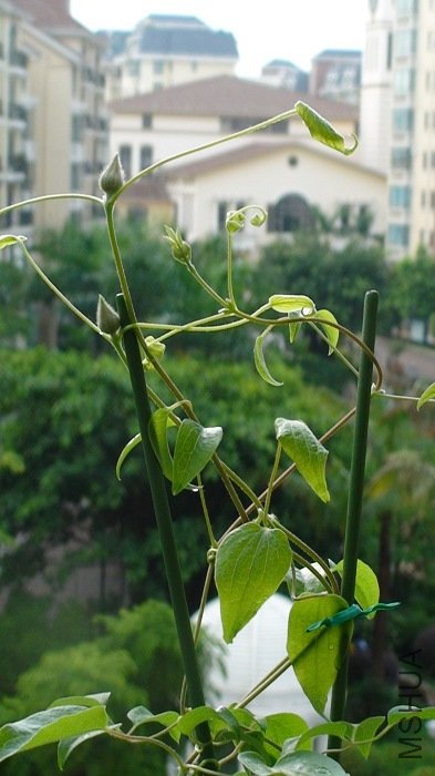 6-14�յĻ�����д���Աߵ������궫�������Ļ����������٣����Ƚ�С�����кܶ࣡