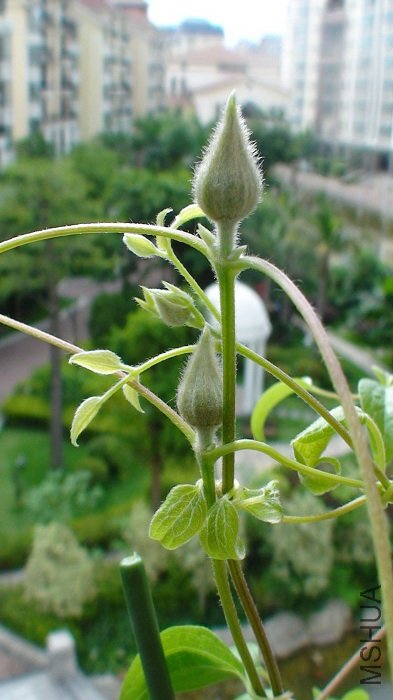 6-15�յĻ�����д���������Դ�����������Ϳ�Ҫ������������