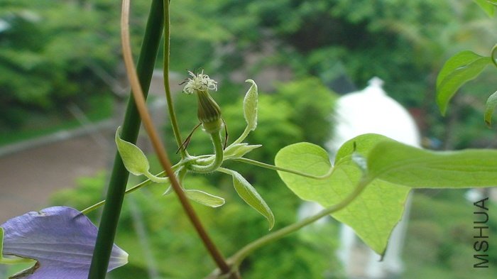 ���ǵײ��Ƕ仨�����ѿ��