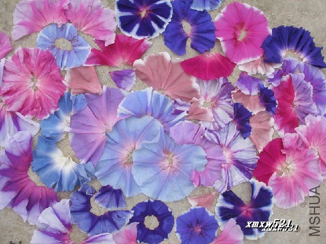 ���Ӻ�����һ��Ū��ƴͼ��