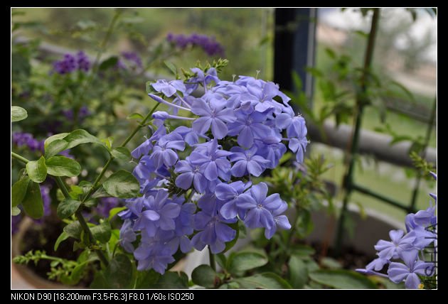 nEO_IMG_DSC_0141.jpg