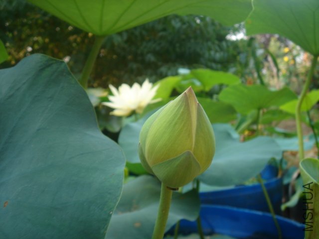 Ҳ�Ǹ��ذ��Ʒ�֣��쿪�ˡ�